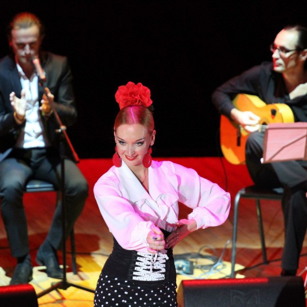 Шоу Фламенко во Владимире 07.02.2015